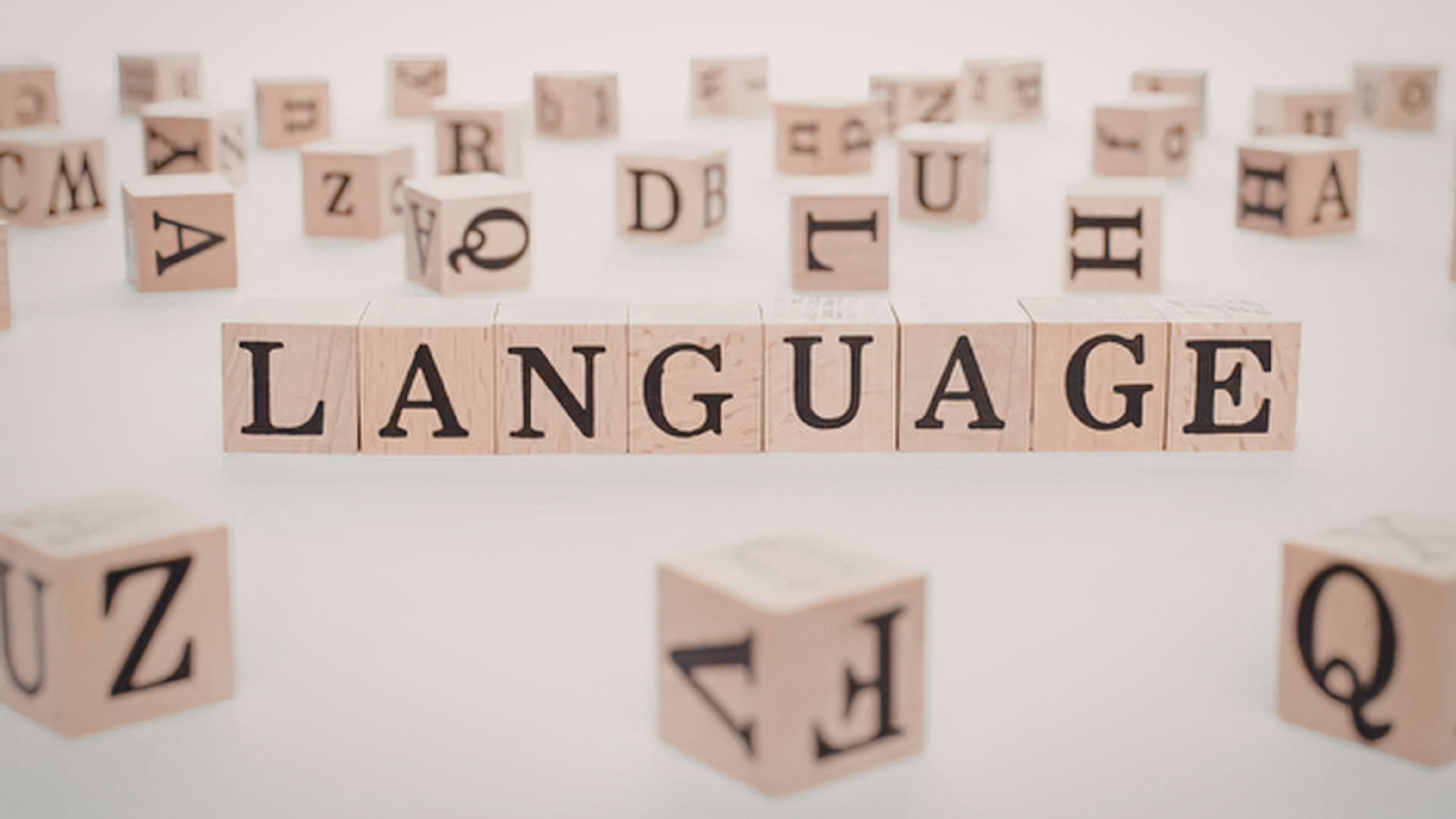 Language Loss
